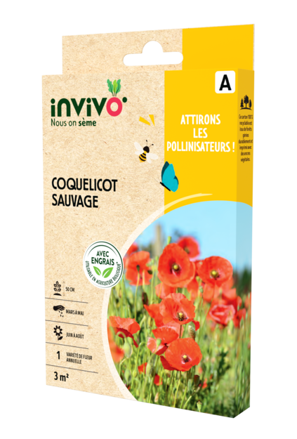 COQUELICOT SAUVAGE