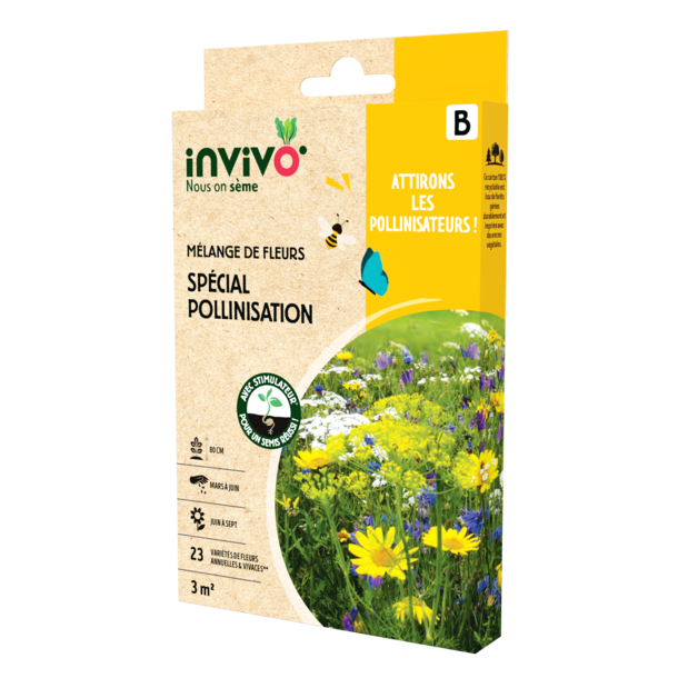 SPÉCIAL POLLINISATION 