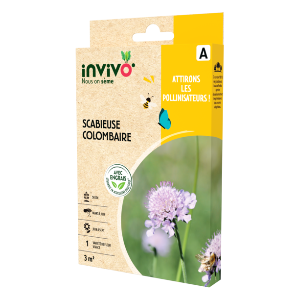 SCABIEUSE COLOMBAIRE