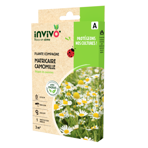 MATRICAIRE CAMOMILLE