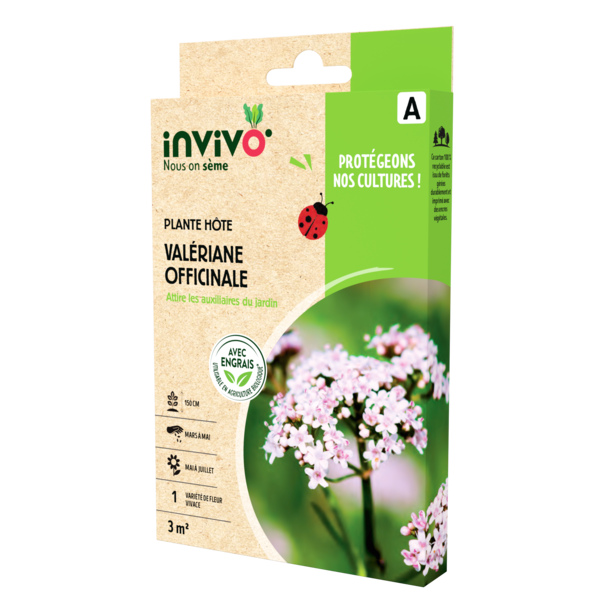 VALÉRIANE OFFICINALE