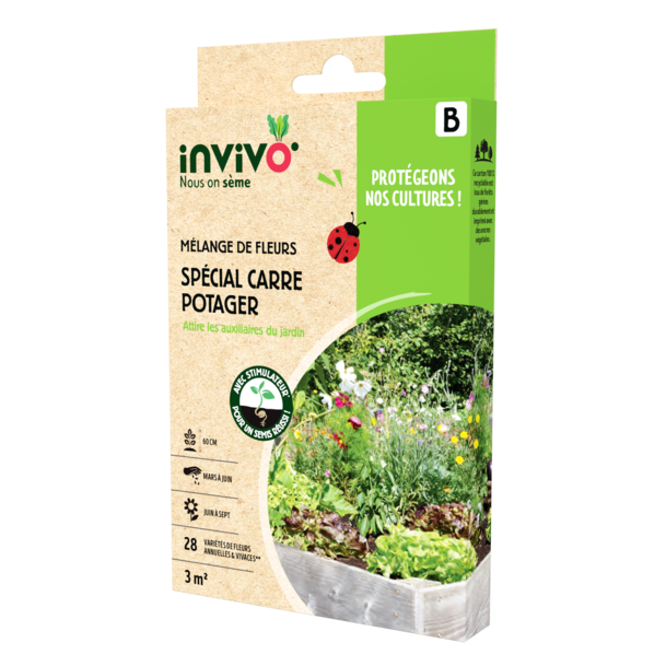 SPÉCIAL CARRÉ POTAGER