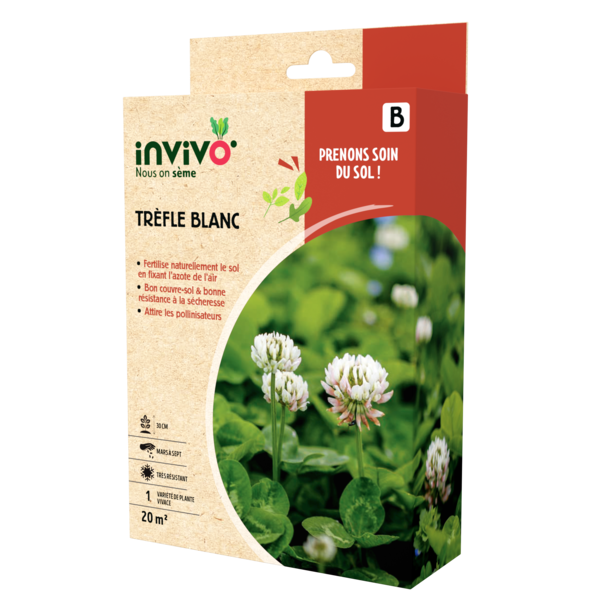 TRÈFLE BLANC