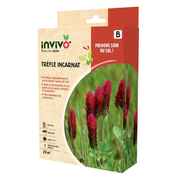 TRÈFLE INCARNAT