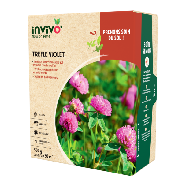 TRÈFLE VIOLET