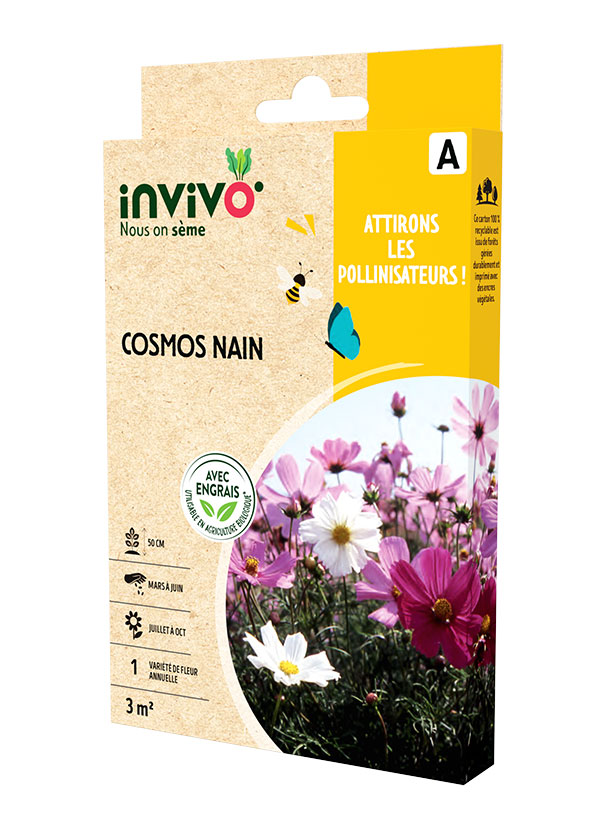 Cosmos nain